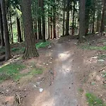 Amira W Kompleksie Piano Świeradów-Zdrój