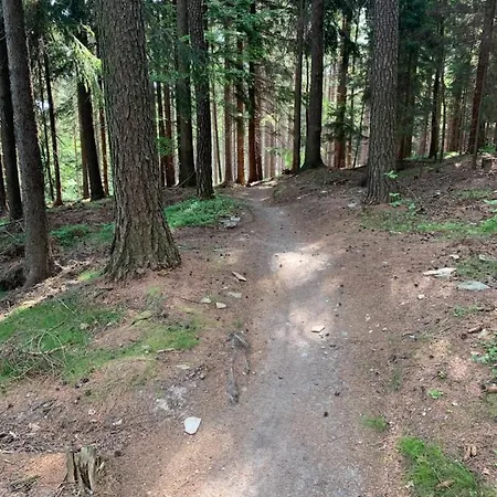 Amira W Kompleksie Piano Świeradów-Zdrój