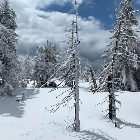 Amira W Kompleksie Piano Apartamento Świeradów-Zdrój