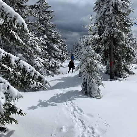 Amira W Kompleksie Piano *