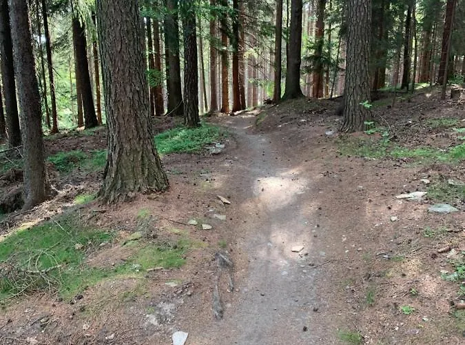 Amira W Kompleksie Piano Świeradów-Zdrój