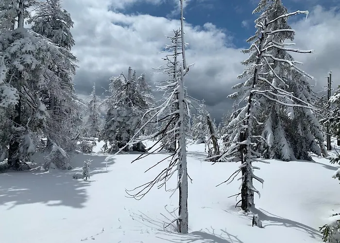 Amira W Kompleksie Piano شقة Świeradów-Zdrój