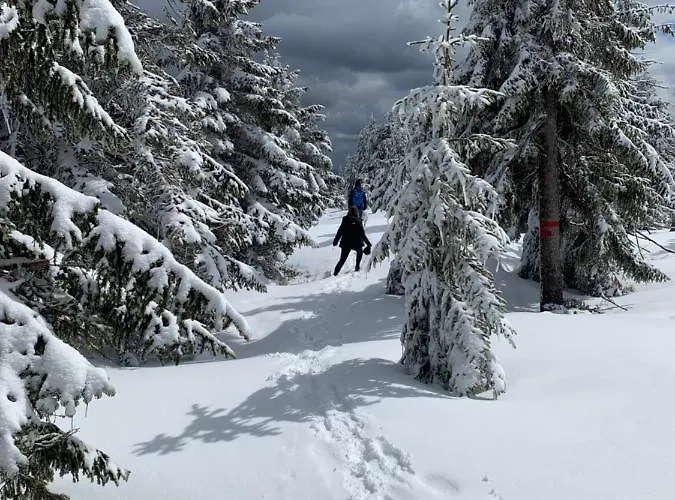 Amira W Kompleksie Piano *